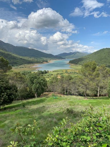 A vertical shot of a lake or a river surrounded by hills with growing plants on a sunny, cloudy day