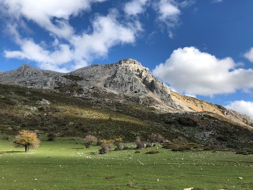 A scenery of rocky mountains with growing plants on a sunny, cloudy day