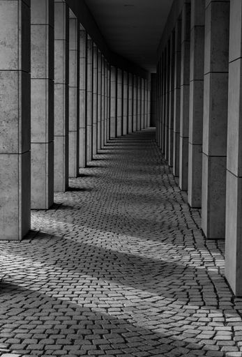 A vertical greyscale shot of a walkway with a cobblestone ground