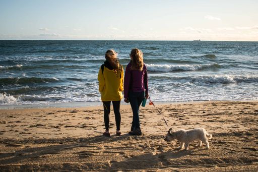 Two women and a dog walking on a beach at sunset