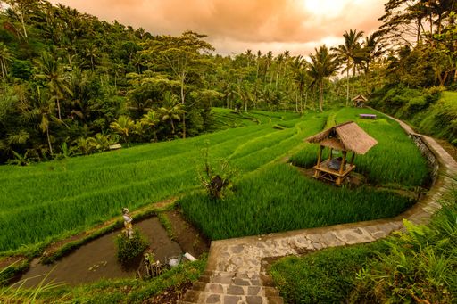 A landscape of rice field terraces under a cloudy sky during the sunset in Bali, Indonesia
