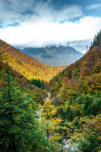 A vertical shot of a valley surrounded by hills covered in yellowing plants in South Tyrol, Austria