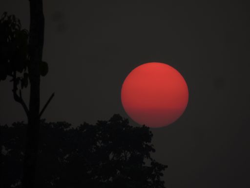 A beautiful shot of a red moon in a dark sky