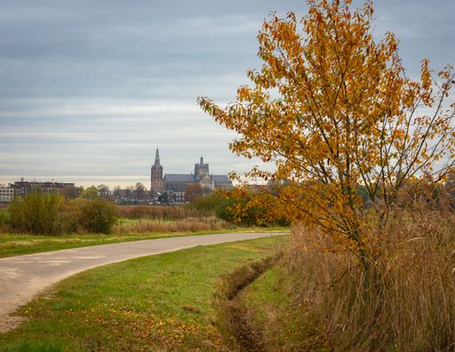 Bossche Broek nature reserve at the edge of the city is popular for cycling and hiking.