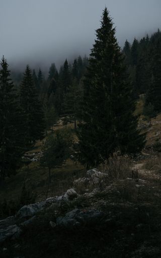A beautiful shot of the Rhodope Mountains,Yagodina village in Bulgaria