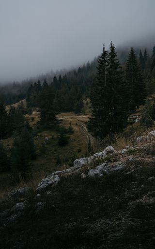 A beautiful shot of the Rhodope Mountains,Yagodina village in Bulgaria