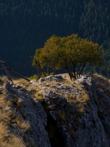 A vertical shot of the Rhodope Mountains,Yagodina village in Bulgaria