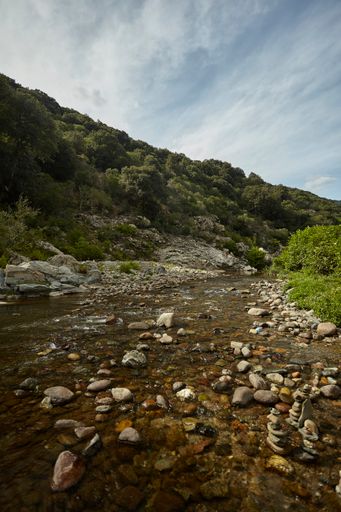 Wide angle view in vertical shot of a mountain stream in the middle of summer while the transparent water flows.
