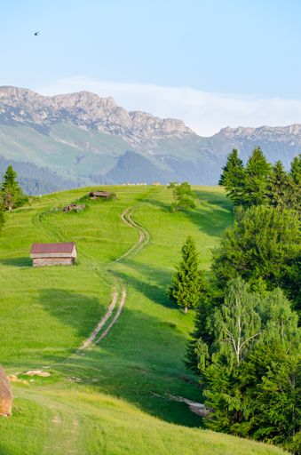 A vertical shot of a beautiful green landscape with a wooden cabin surrounded by trees