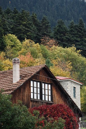 A vertical shot of a wooden house near a mountain forest in Elati Trikalon, Greece