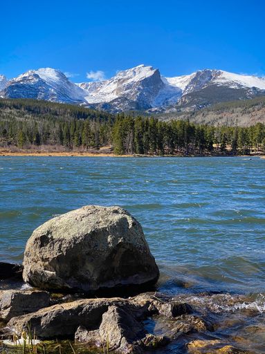 A beautiful shot of a lake surrounded by trees and mountains under a blue sky on a sunny day