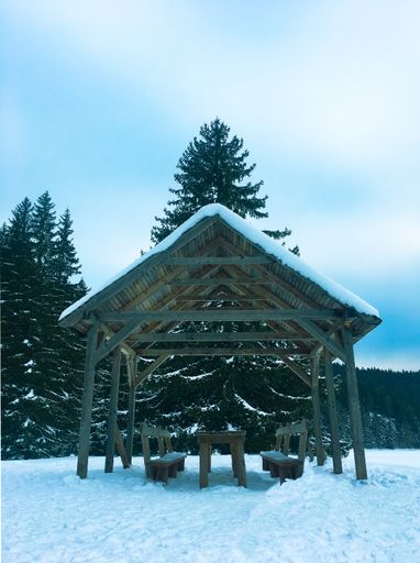A vertical shot of a wooden gazebo with benches and table