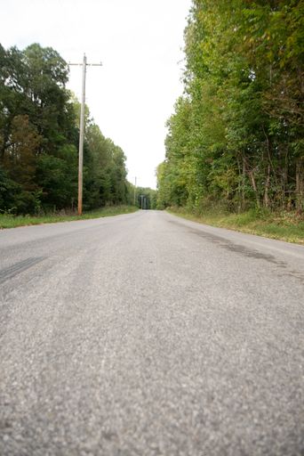 a photo of road surrounded by a forest