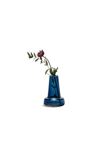A vertical shot of a great masterwort in a blue glass vase isolated on a white background