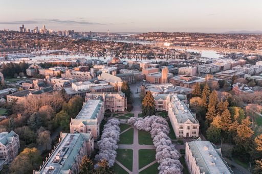 An aerial view of the cherry blossoms of the University of Washington in Seattle during sunrise