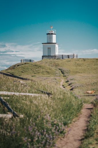 A vertical shot of a lighthouse on San Juan Island during daylight