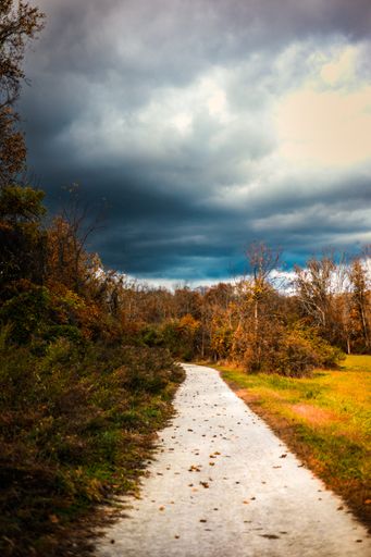 A vertical shot of a trail in White Clay Creek State Park, Newark, Delaware