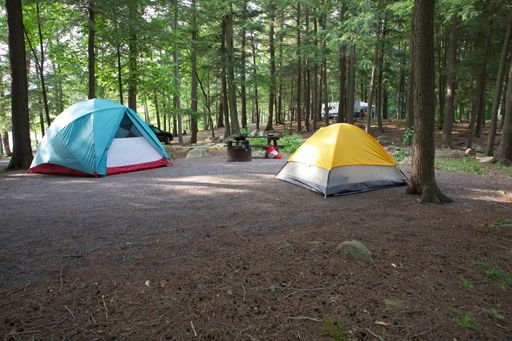 The tents in a forest for hiking