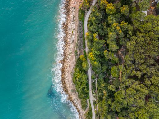 An aerial view of waves washing the beachline with a dense forest