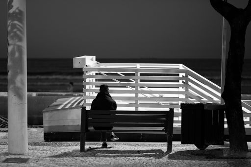 A grayscale scenic view of a person sitting on a bench from behind in front of a white fence