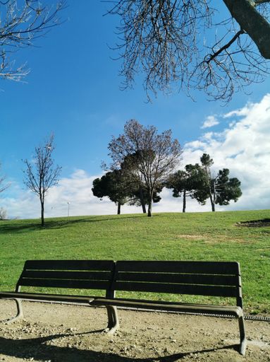 A vertical shot of a bench in the Juan Carlos park under a blue sky in Madrid, Spain