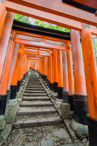 A vertical shot of the orange  entrance into the Fushimi Inari Shrine in Kyoto, Japan