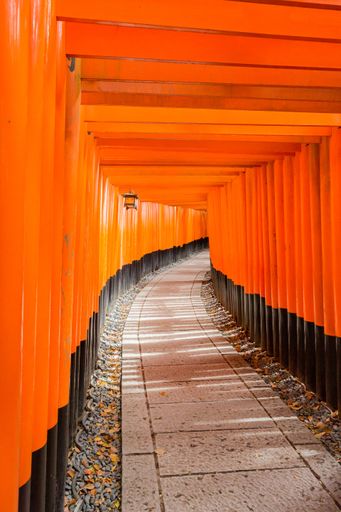 A vertical shot of the orange  entrance into the Fushimi Inari Shrine in Kyoto, Japan