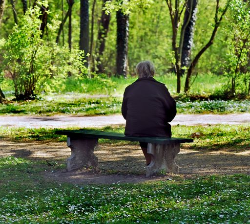 A beautiful shot of an old human sitting on a bench in a park