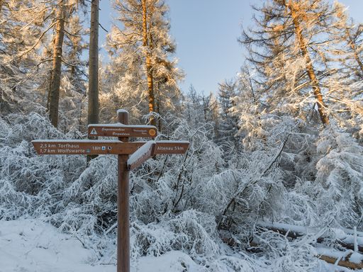 A landscape view of a wooden sign in the street in winter.
