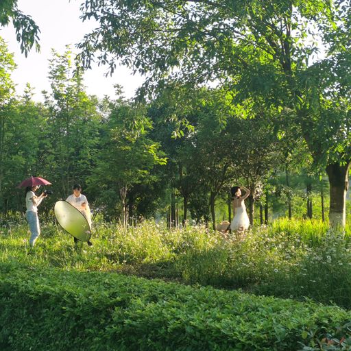 A scenic view of a female photographer taking pictures of two girls in a forest