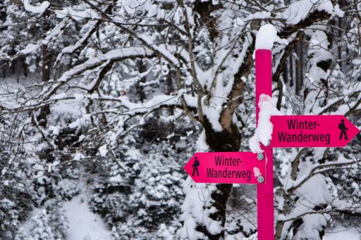 winter path sign in pink in Malbun, Liechtenstein