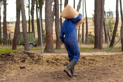 A portrait of young farmer and rancher carrying sacks of feed on their shoulder