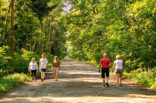 Many people on a long walking trail through a green park in Lowicz, Poland