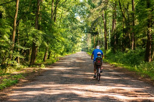 A back view of a male and a child on a bicycle in a forest