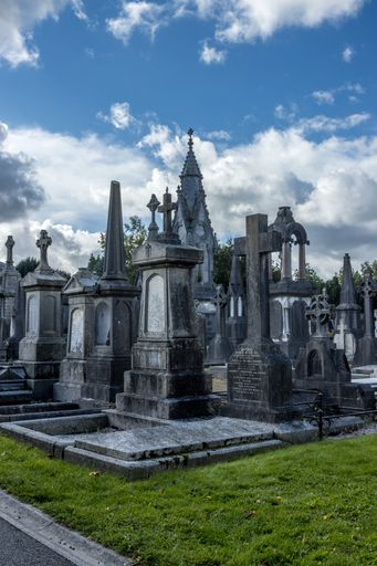 A vertical shot of the Glasnevin Cemetery in Dublin, Ireland
