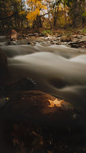 The waters of Oak Creek flow by the banks of Crescent Moon Ranch in Sedona Arizona