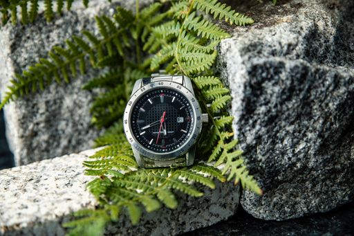 A closeup of a silver watch exhibition on rocks decorated with leaf shrubs