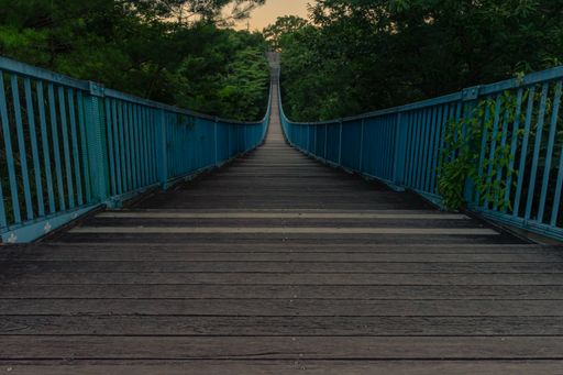 A wooden bridge with blue railings in Japan