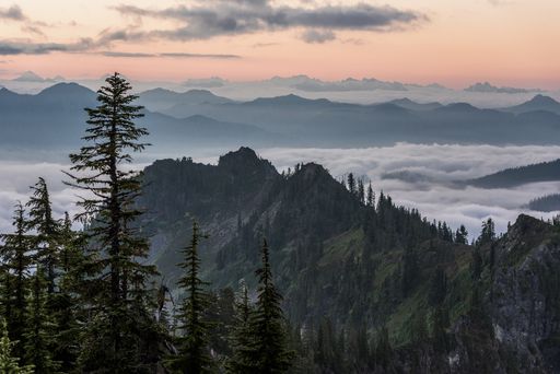 A beautiful shot of trees near forested mountains above the clouds with a light pink sky in the background