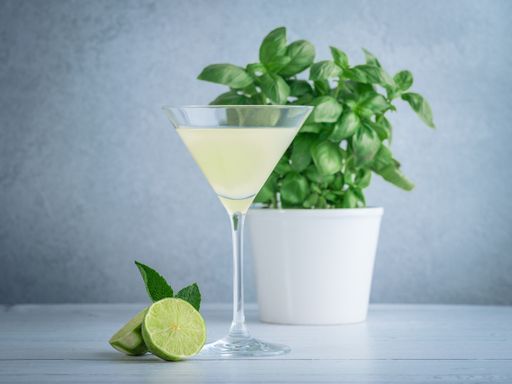 A wide shot of lime Martini in a cocktail glass near lime and mint and a basil plant in a white pot