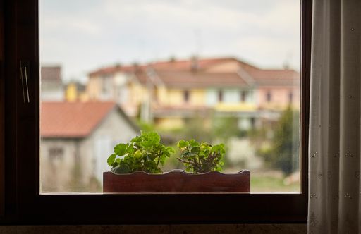 View of a window with a vase of seedlings resting on the windowsill