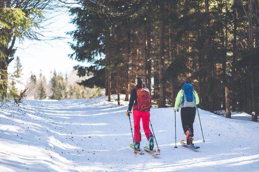 A pair of skiers going up a snowy hill in the Slovakian Mountains