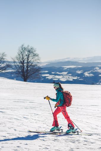 A vertical shot of a skier going up the Pansky Diel trail near Banska Bystrica, Slovakia