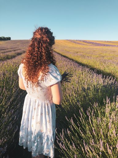A vertical shot of curly girl with white dress on the Lavender field in Hitchin, United Kingdom
