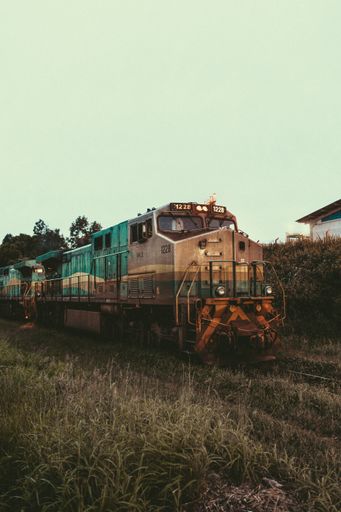 A vertical shot of a multi-colored train in a field with trees during sunset