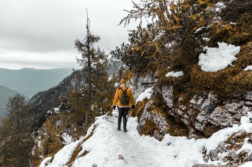 A Caucasian female hiker in a yellow coat walking on a snowy path in woods with yellow larch trees