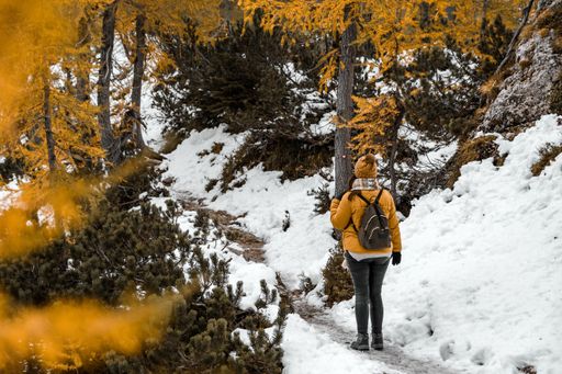 A Caucasian female hiker in a yellow coat walking on a snowy path in woods with yellow larch trees