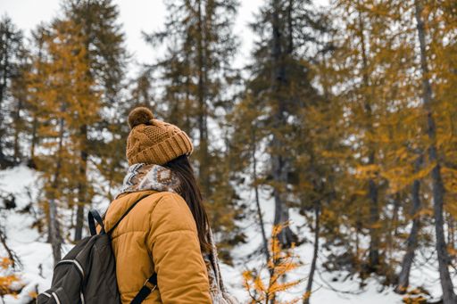 A Caucasian female hiker in a yellow coat walking on a snowy path in woods with yellow larch trees