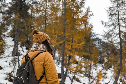 A Caucasian female hiker in a yellow coat walking on a snowy path in woods with yellow larch trees