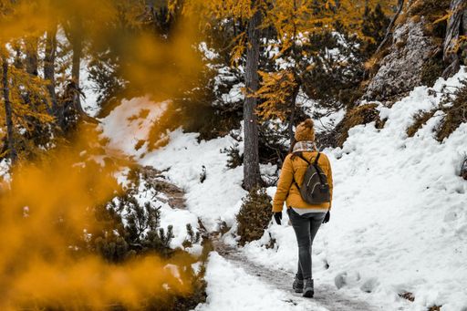 A Caucasian female hiker in a yellow coat walking on a snowy path in woods with yellow larch trees